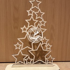 Weihnachtsbaum-Stern