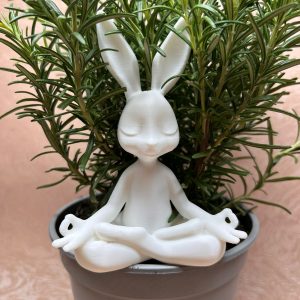 Meditierender Hase 3d