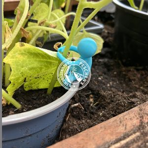 Vermehrungskumpel Pflanzenstützfigur
